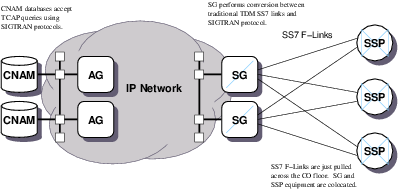 Network Architecture