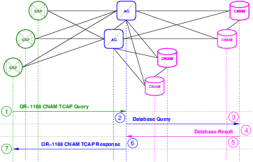 CNAM Transaction Flow – Remote Database