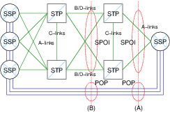 Network Architecture